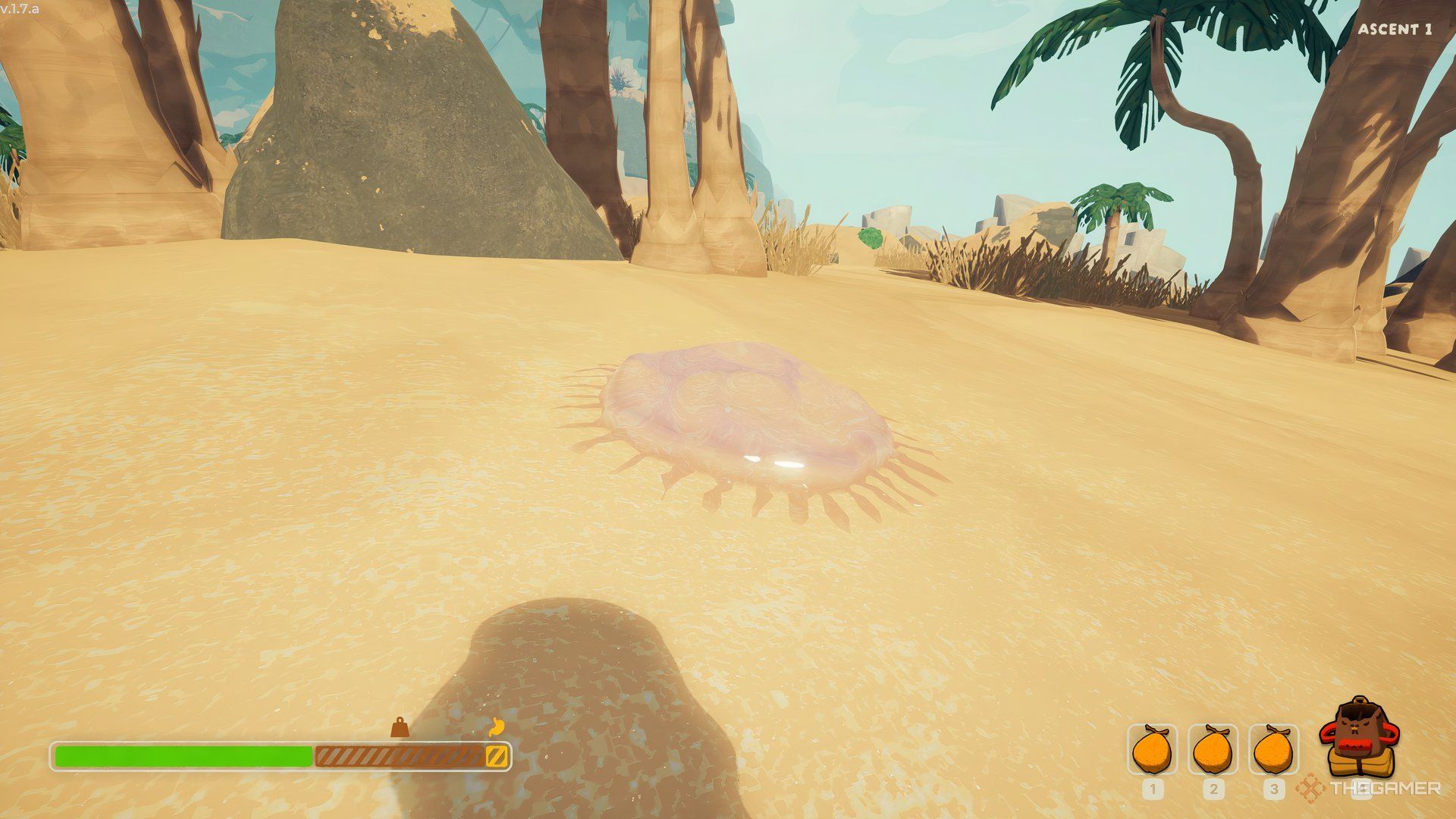 A Jellyfish On The Shore In Peak.