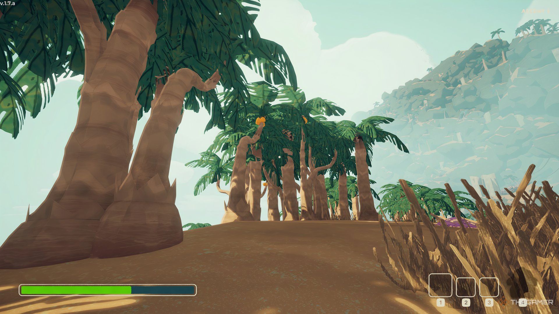 Palm Trees On The Shore With Coconuts In Them In Peak.