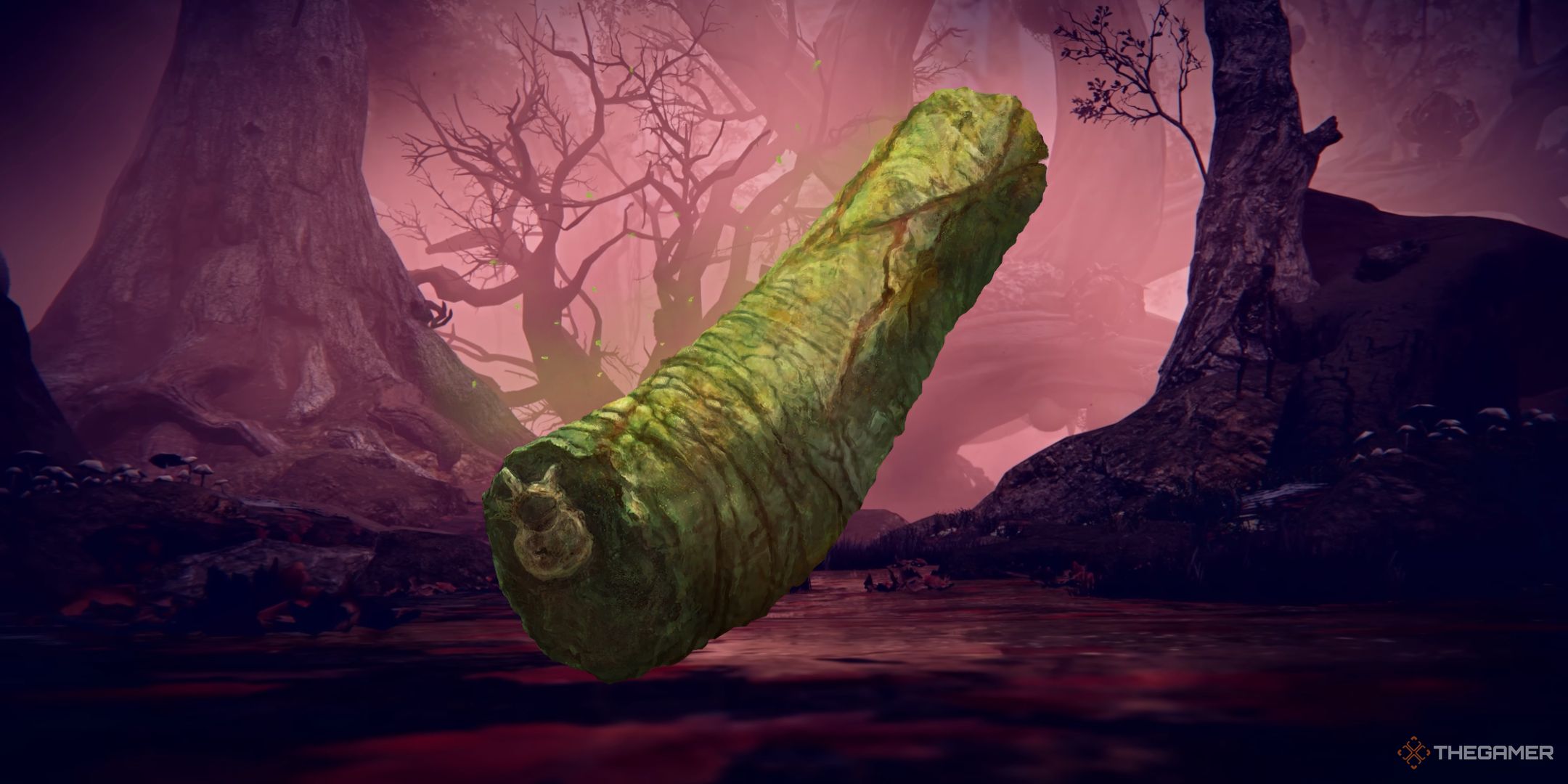 A picture showing the Pickled Turtle Neck in front of the Rotted Woods in Elden Ring Nightreign.
