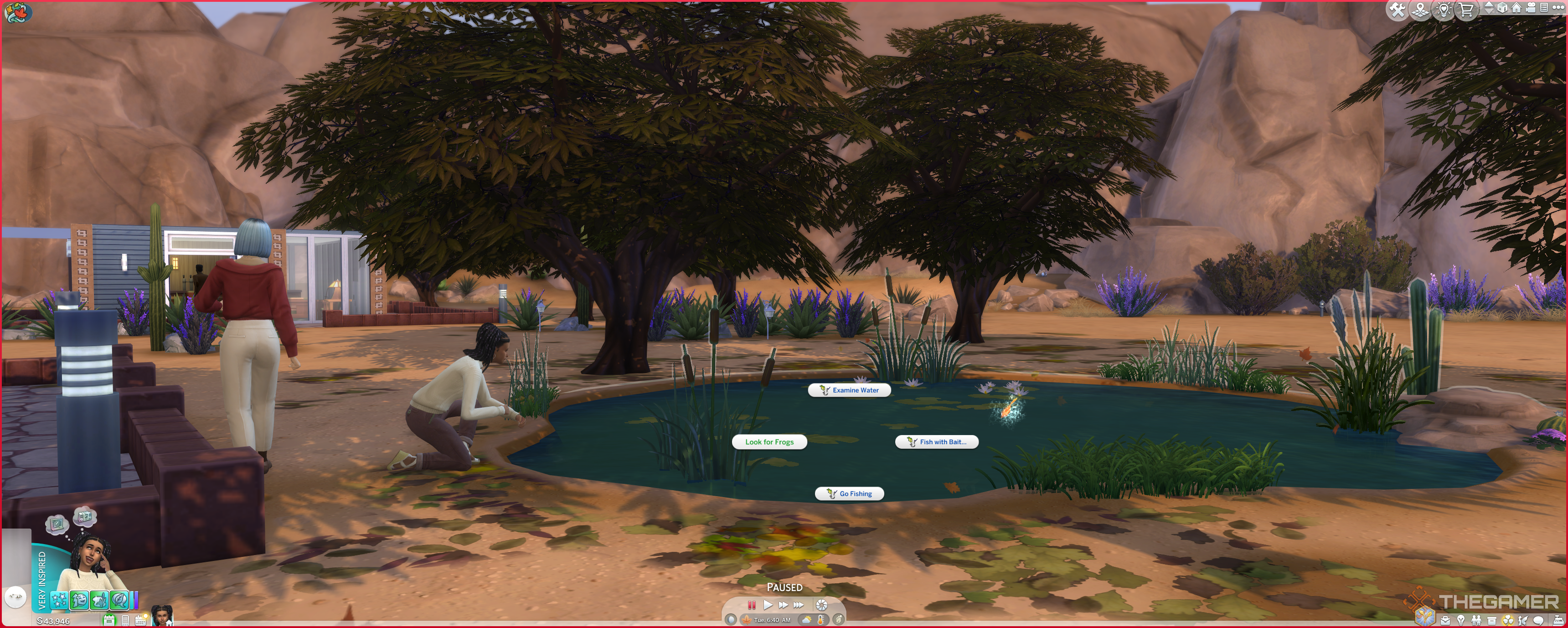 A Sim collecting frogs in desert bloom park.