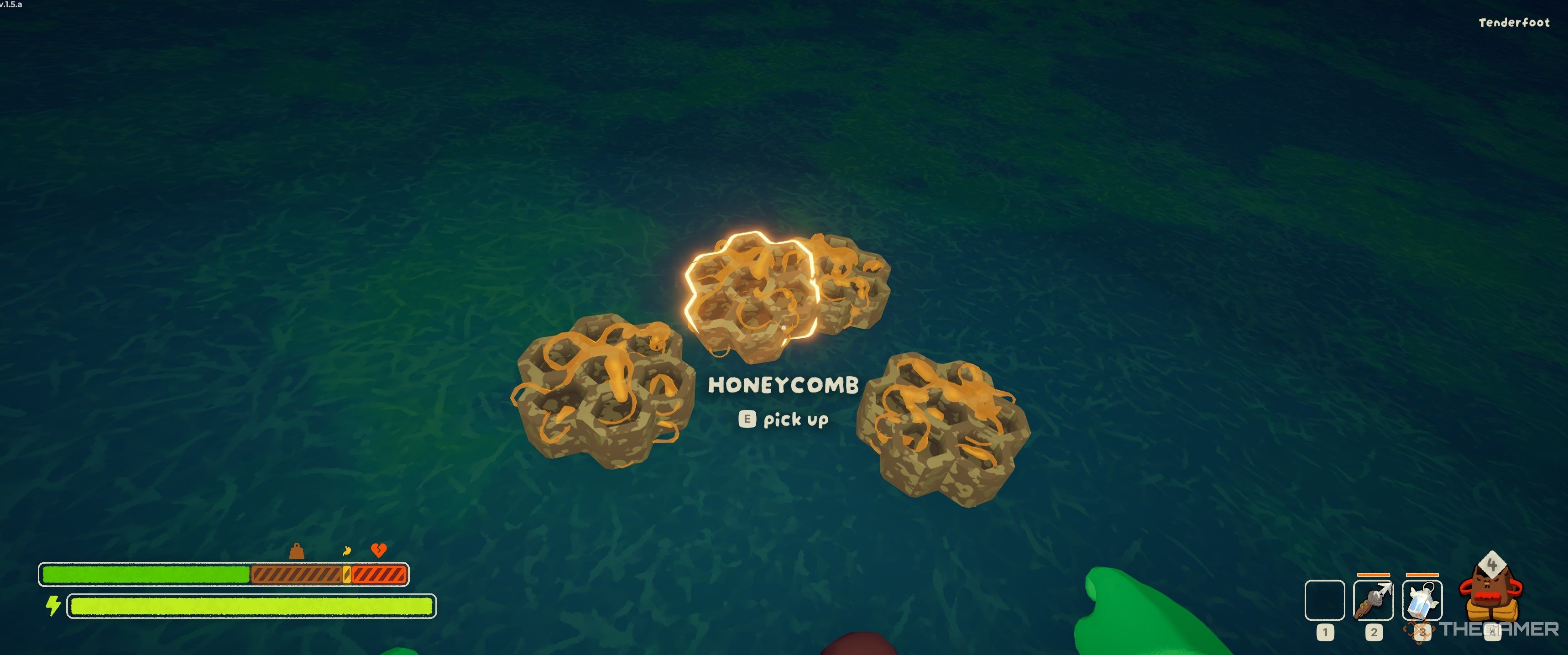 Honeycomb on the ground in Peak.
