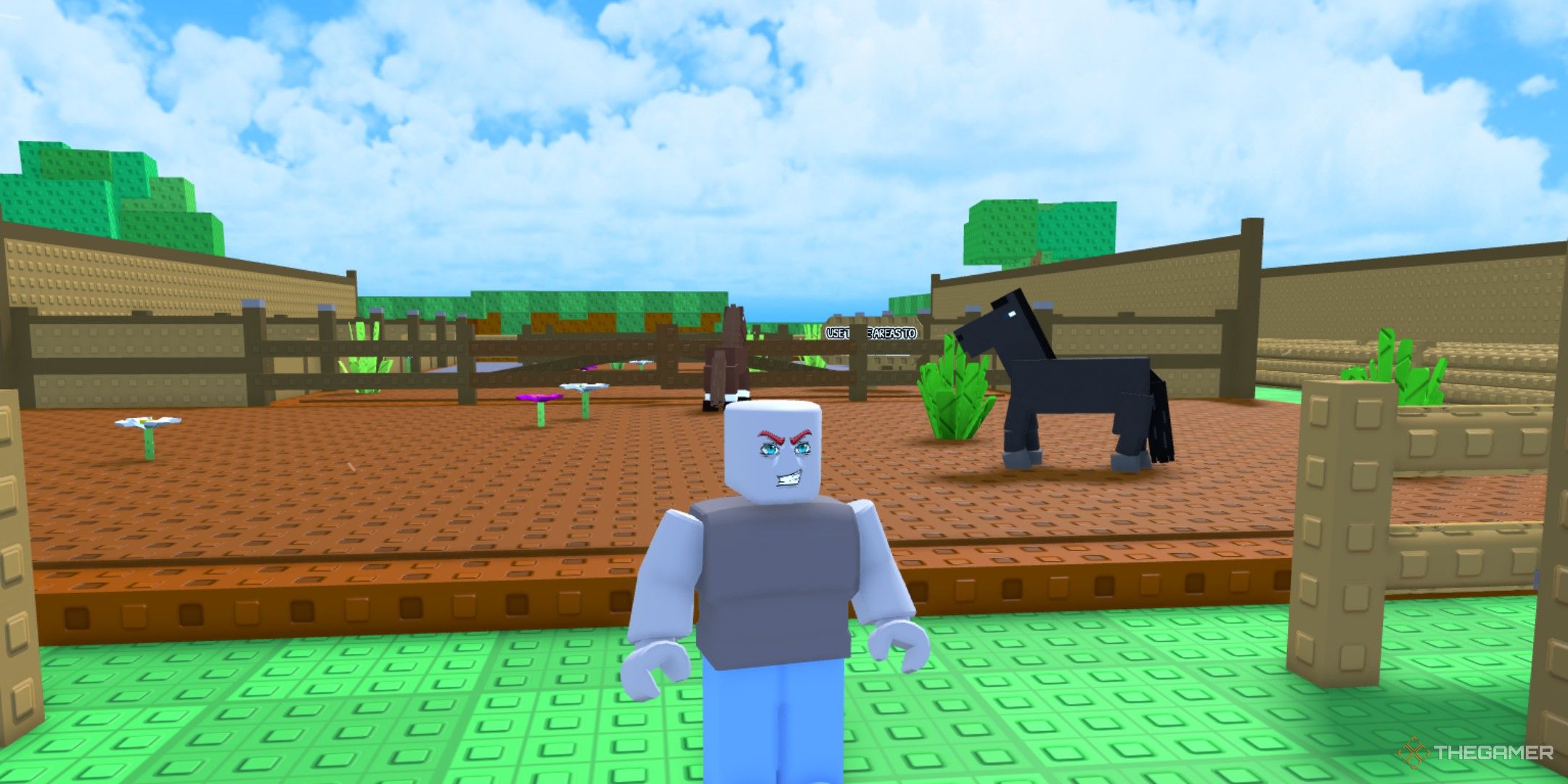 a player in Horse RNG on Roblox