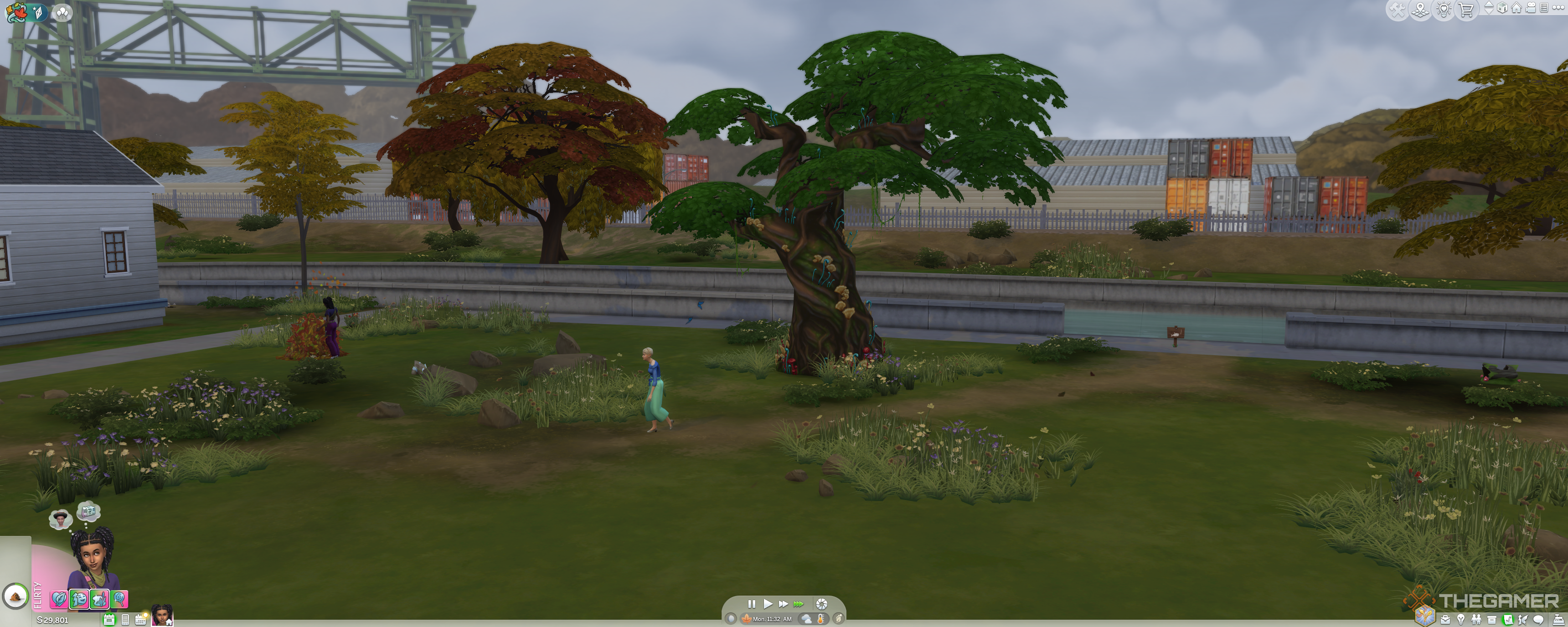 The mysterious tree in willow creek.