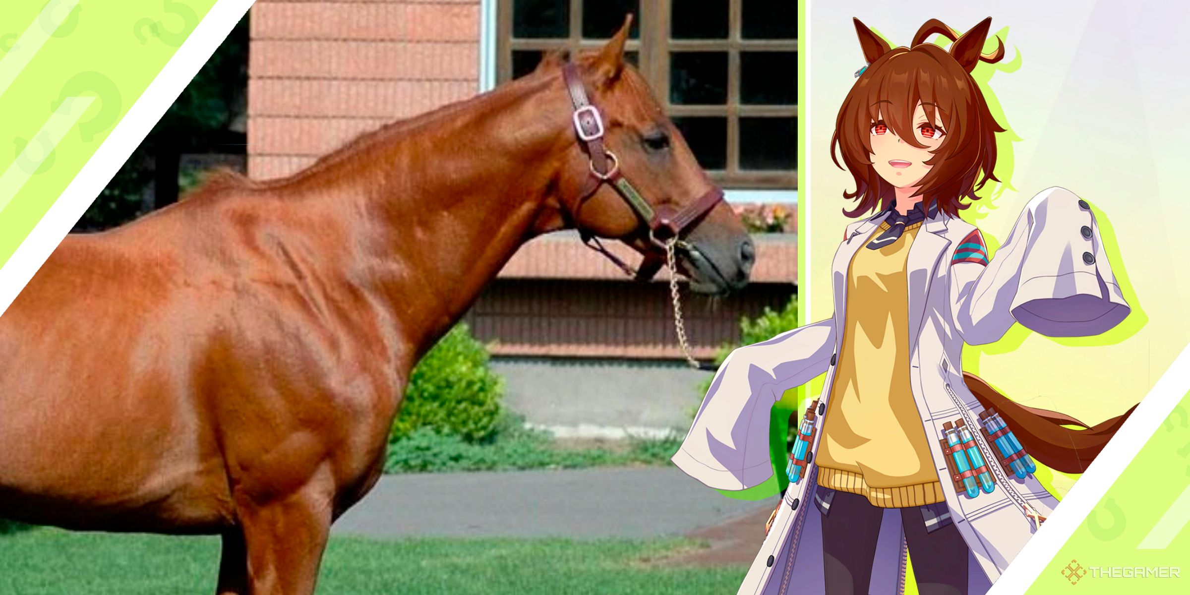 The race horse Agnes Tachyon alongside the Umamusume character inspired by the horse from Umamusume Pretty Derby.