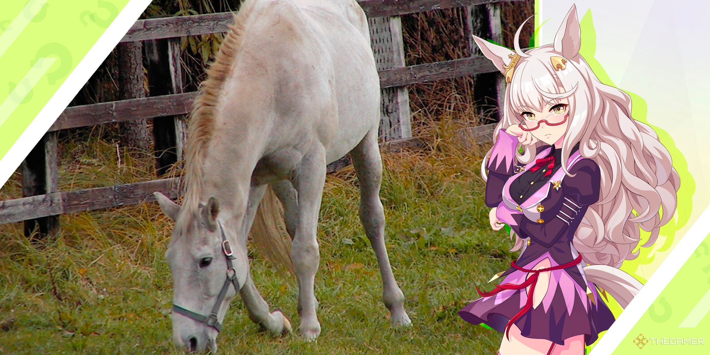 The race horse Biwa Hayahide alongside the Umamusume character inspired by the horse from Umamusume: Pretty Derby.