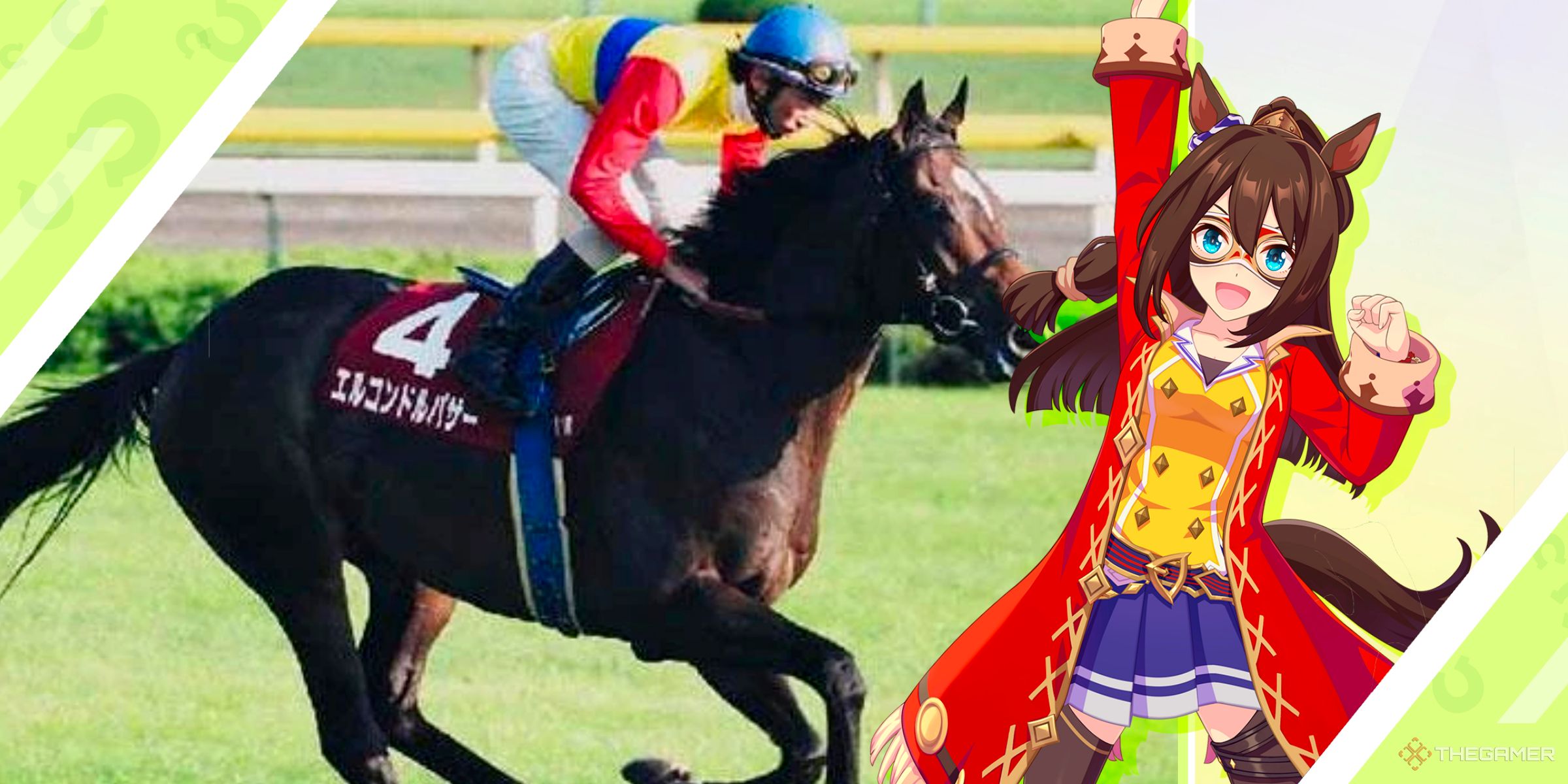 The race horse El Condor Pasa alongside the Umamusume character inspired by the horse from Umamusume: Pretty Derby.