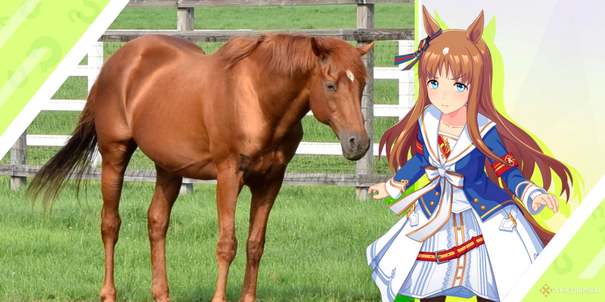 The race horse Grass Wonder alongside the Umamusume character inspired by the horse from Umamusume: Pretty Derby.