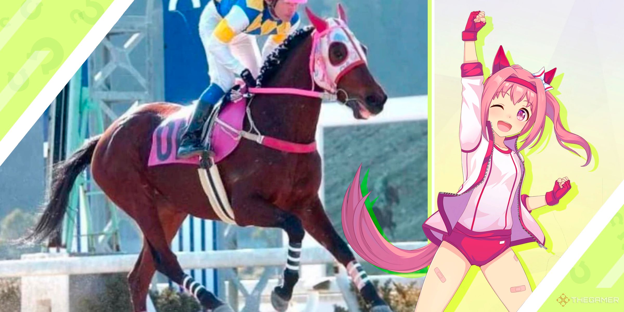 The race horse Haru Urara alongside the Umamusume character inspired by the horse from Umamusume Pretty Derby.