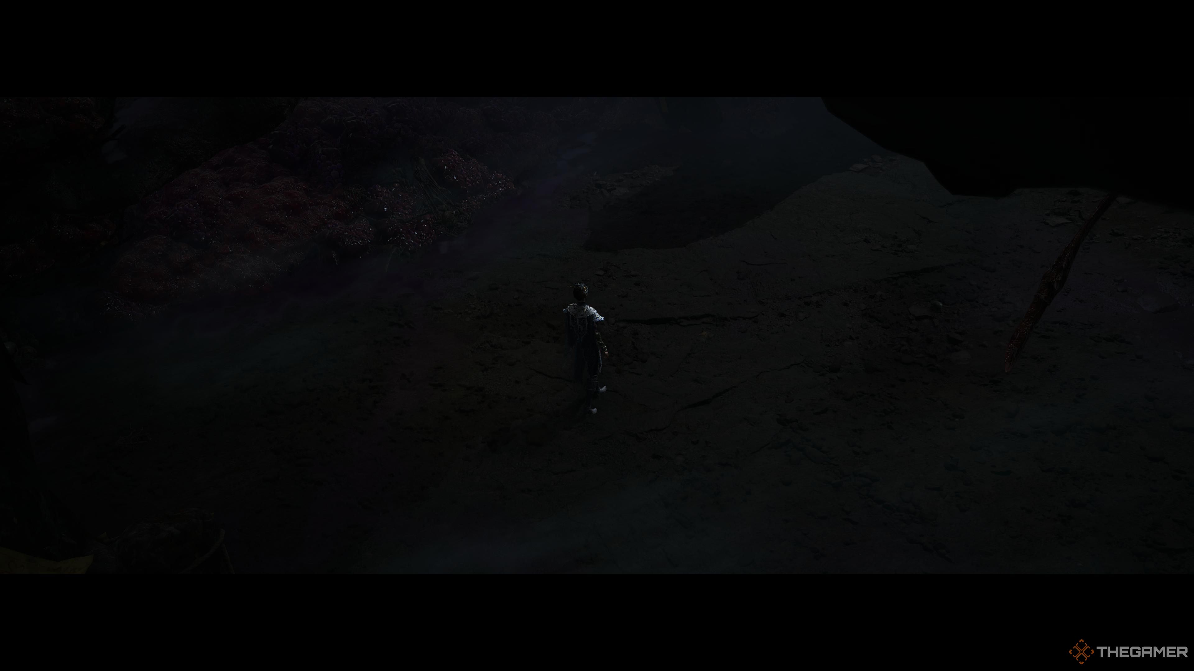 Wuchang being watched from above in wuchang fallen feathers.