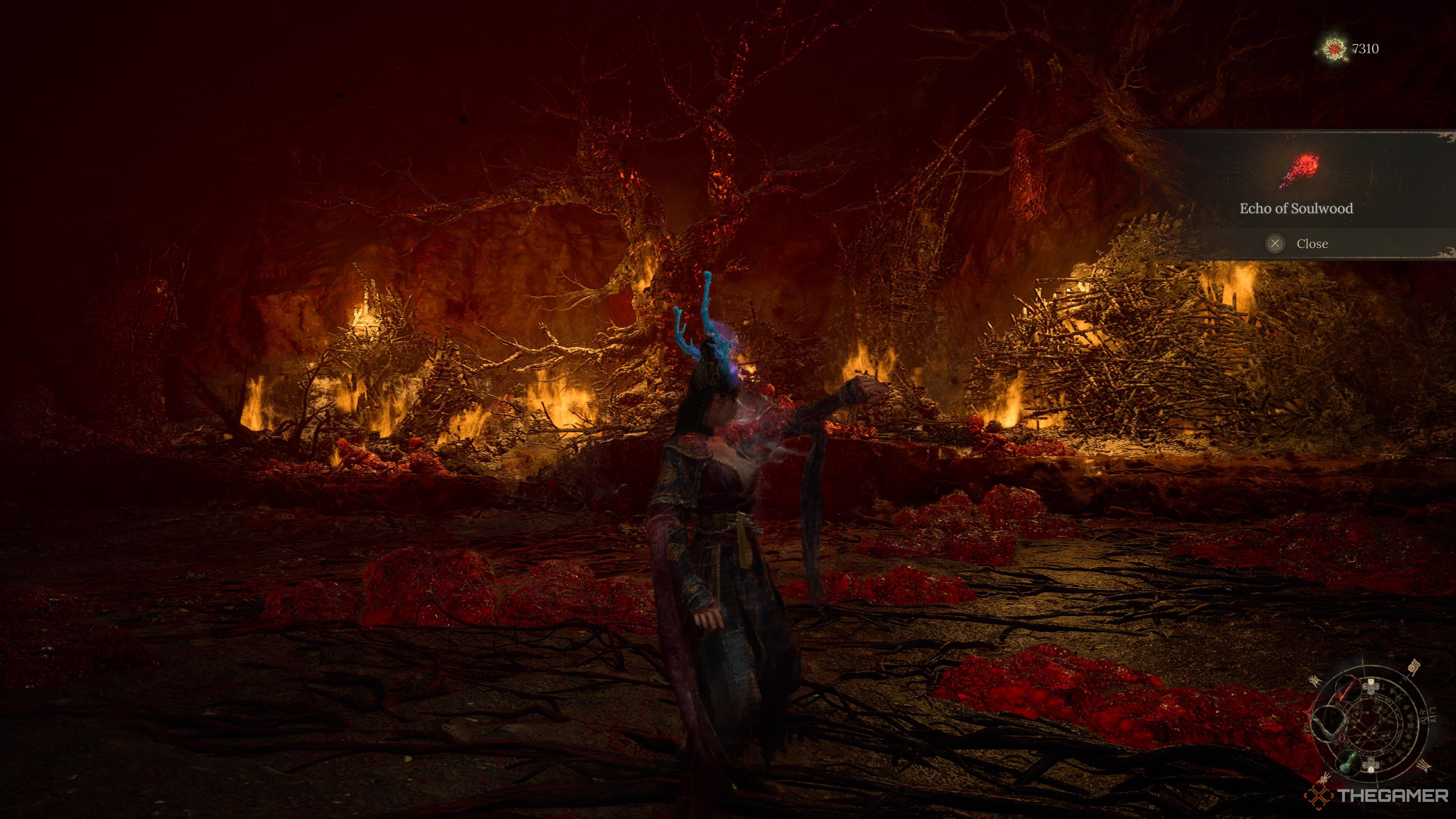 Wuchang recieving the echo of soulwood spell in wuchang fallen feathers.