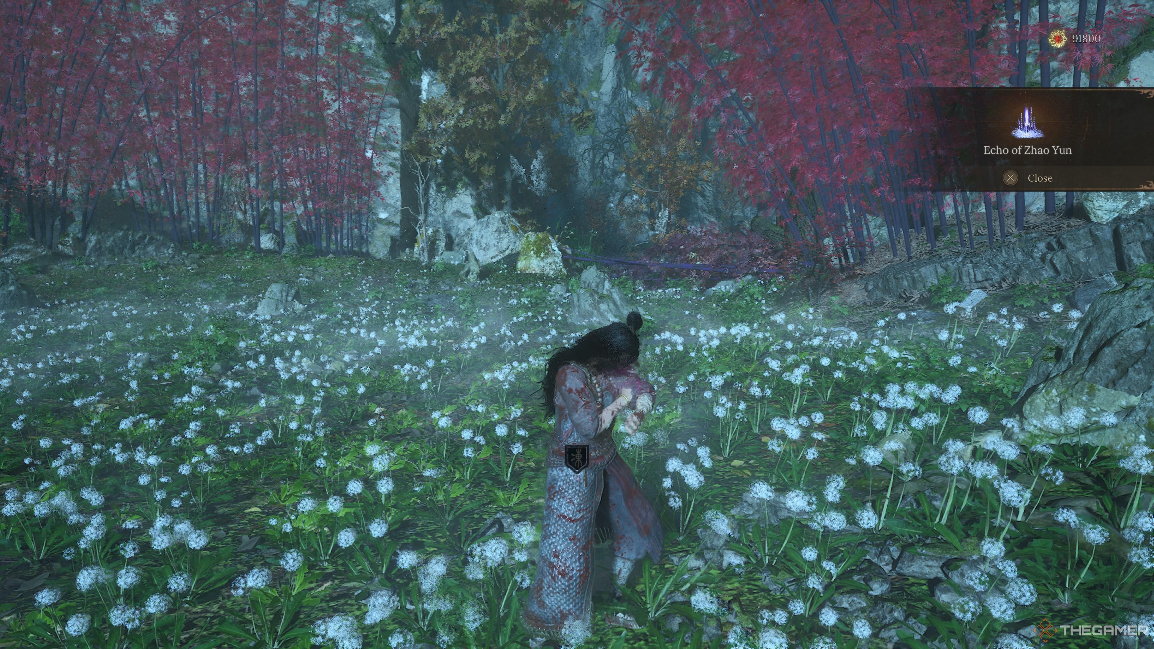 Wuchang receiving the echo of zhao yun spell in wuchang: fallen feathers.