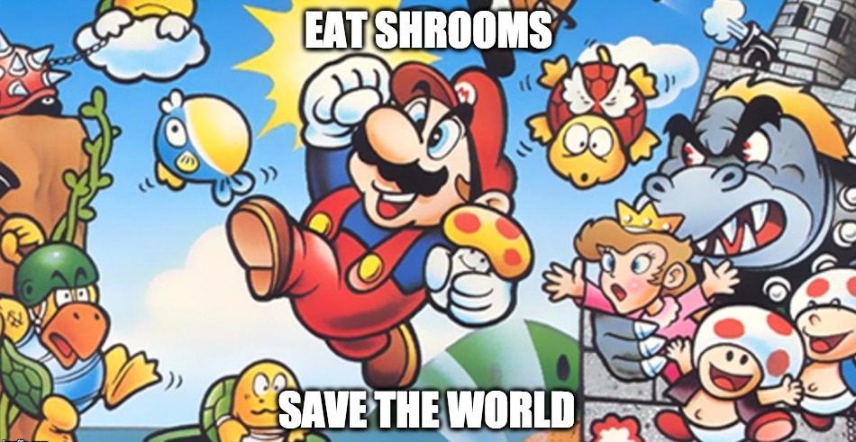 A True Masterpiece Super Mario Mario Memes Mario Funn - vrogue.co