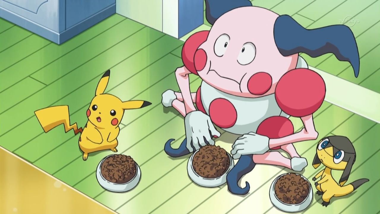 pokemon food, what do pokemon eat,