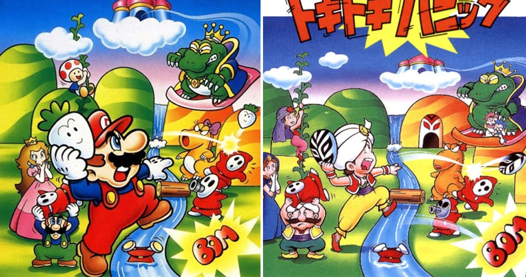 Black Sheep: 15 Things You Didn't Know About Super Mario Bros. 2