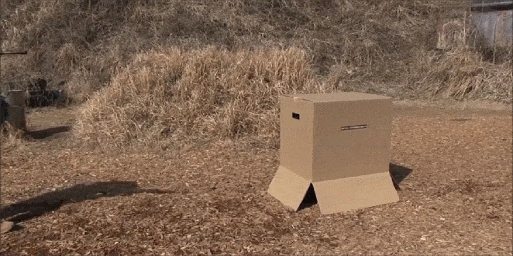 Metal Gear Solid Cardboard Box