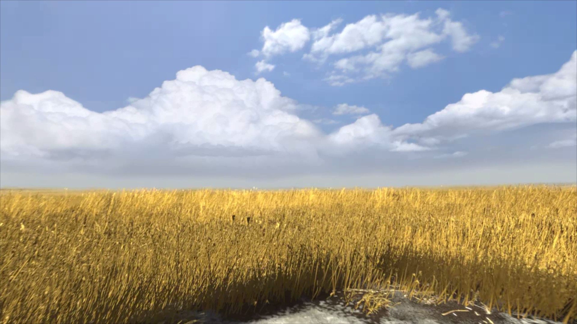 Wheat Field in Portal 2