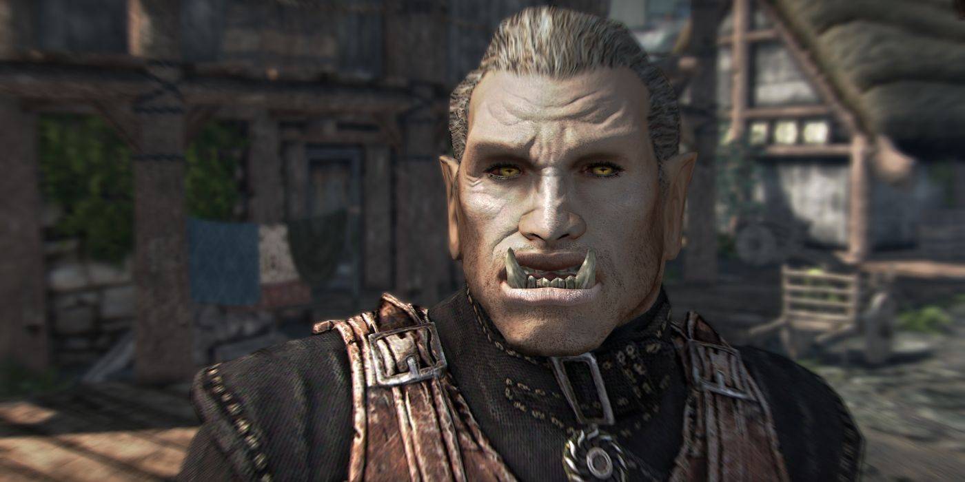 Skyrim The 10 Best And 10 Worst Followers In The Game