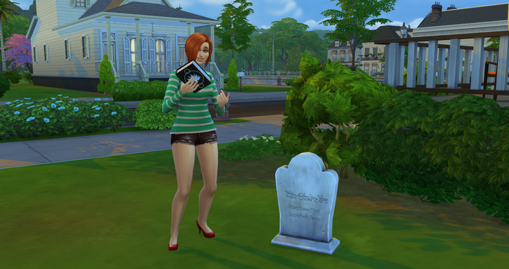 The Sims 25 Tricks From The Series You Had NO Idea About