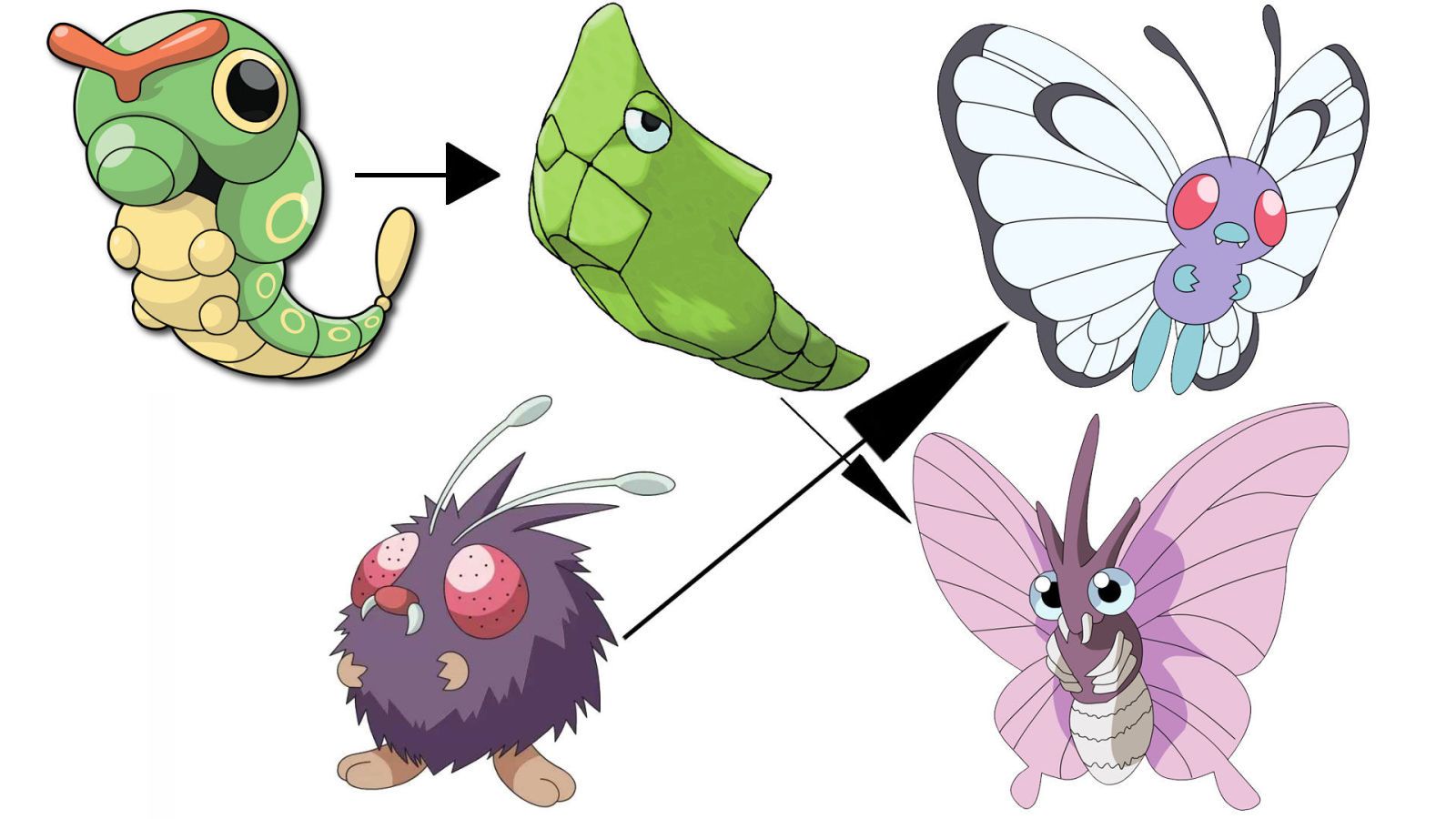 Pokemon Evolution