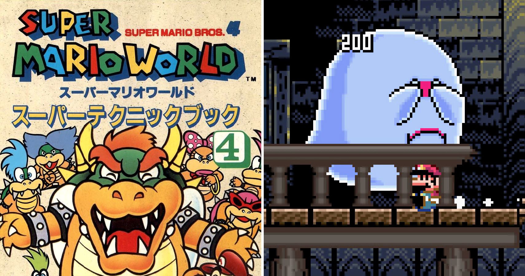 15 Things You Didn't Know About The Original Super Mario Bros.