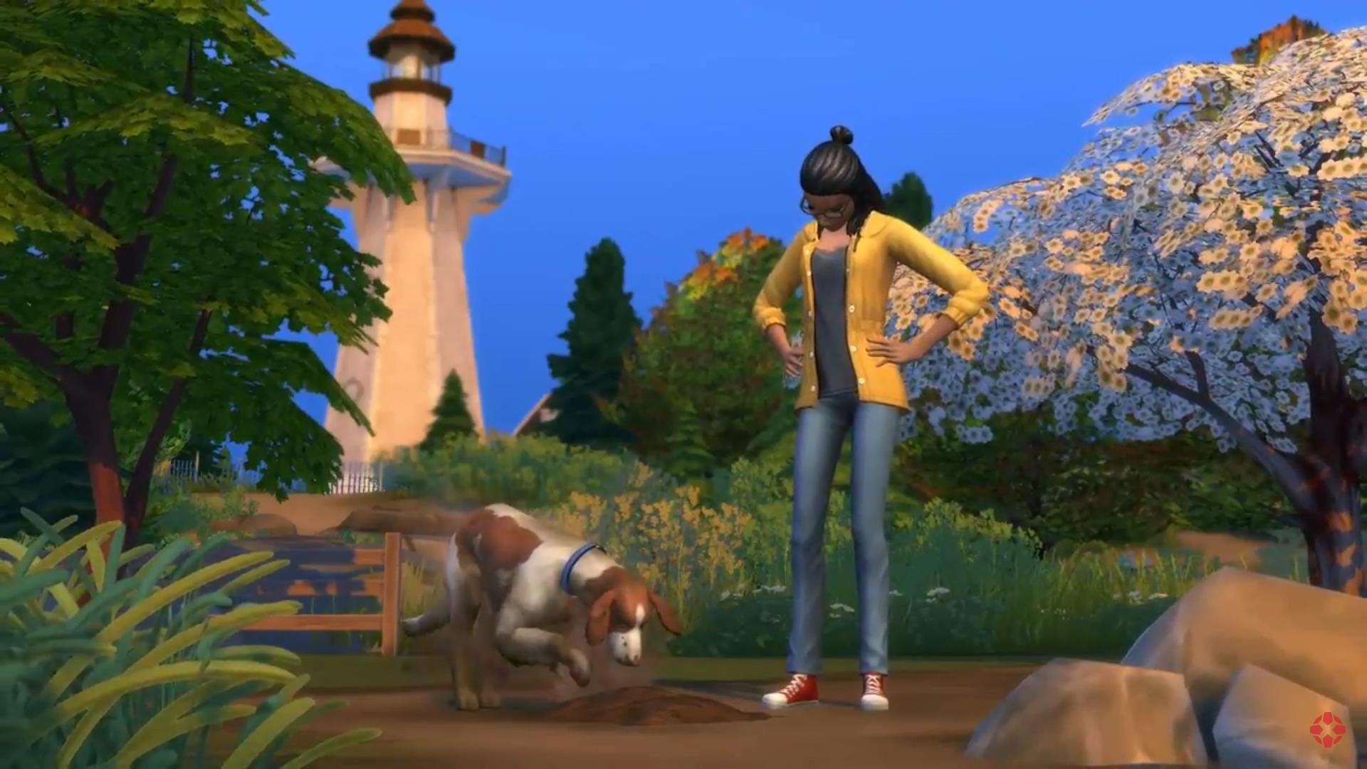 A dog digging up a gift for a sim