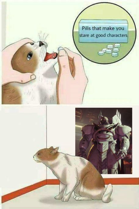 destiny 2 memes pills