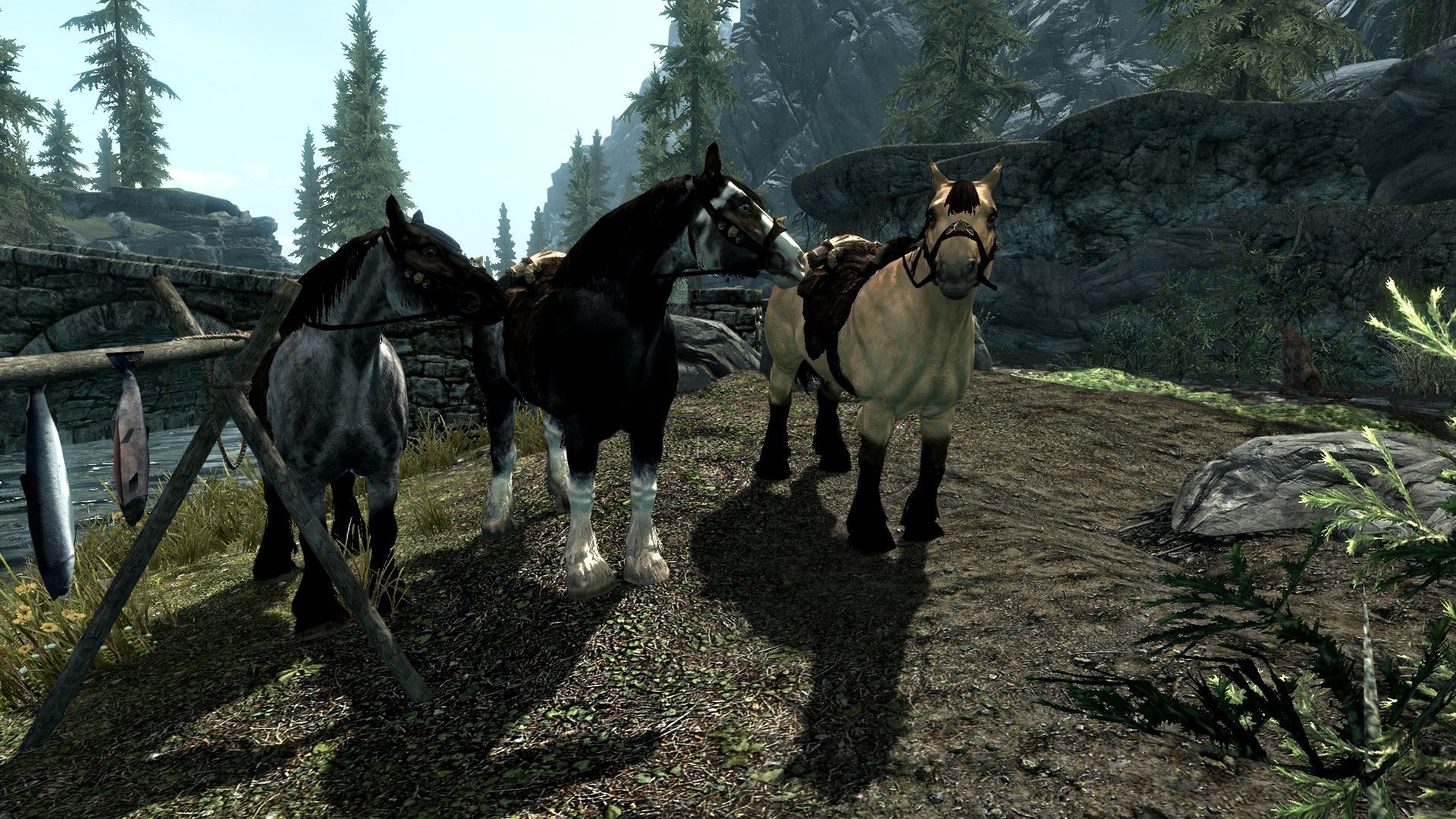 Glaring Problems With Skyrim Nobody Wants To Admit