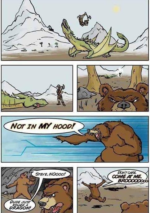 Bear Logic