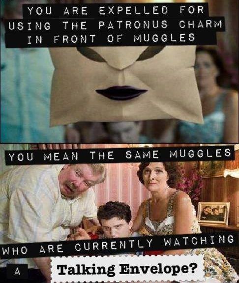 25 Harry Potter Memes That Prove The Series Makes No Sense