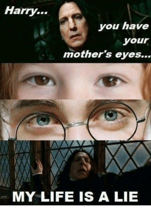 25 Harry Potter Memes That Prove The Series Makes No Sense