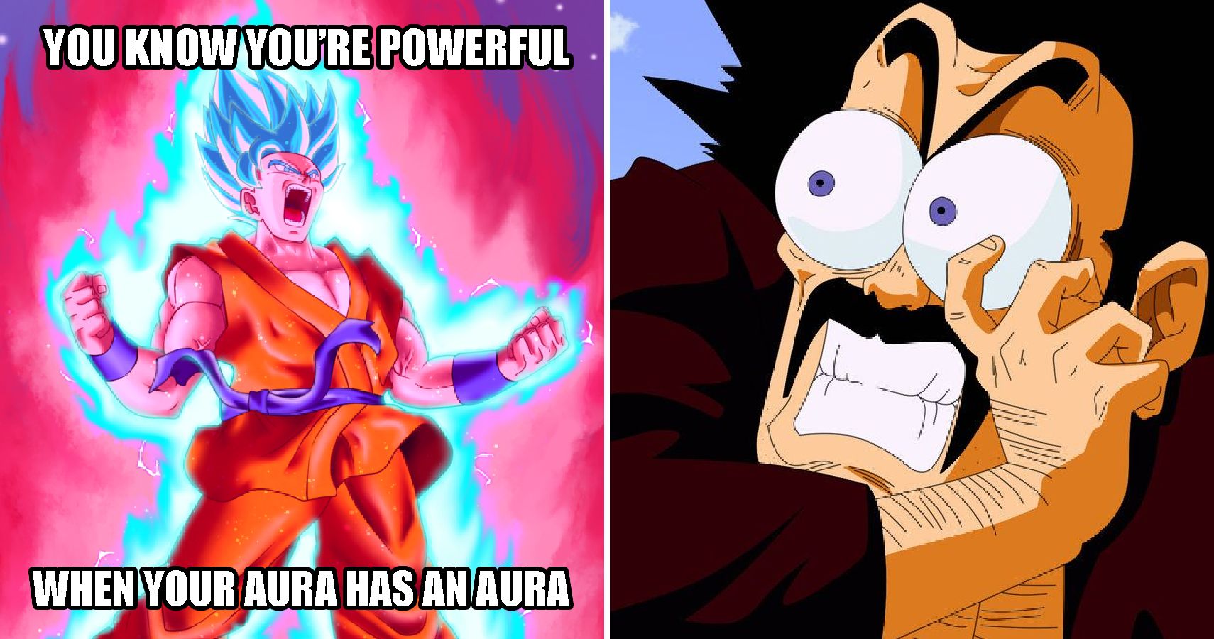 Saiyan Level: Hilarious Dragon Ball Final Form Memes Only True Fans Will  Understand