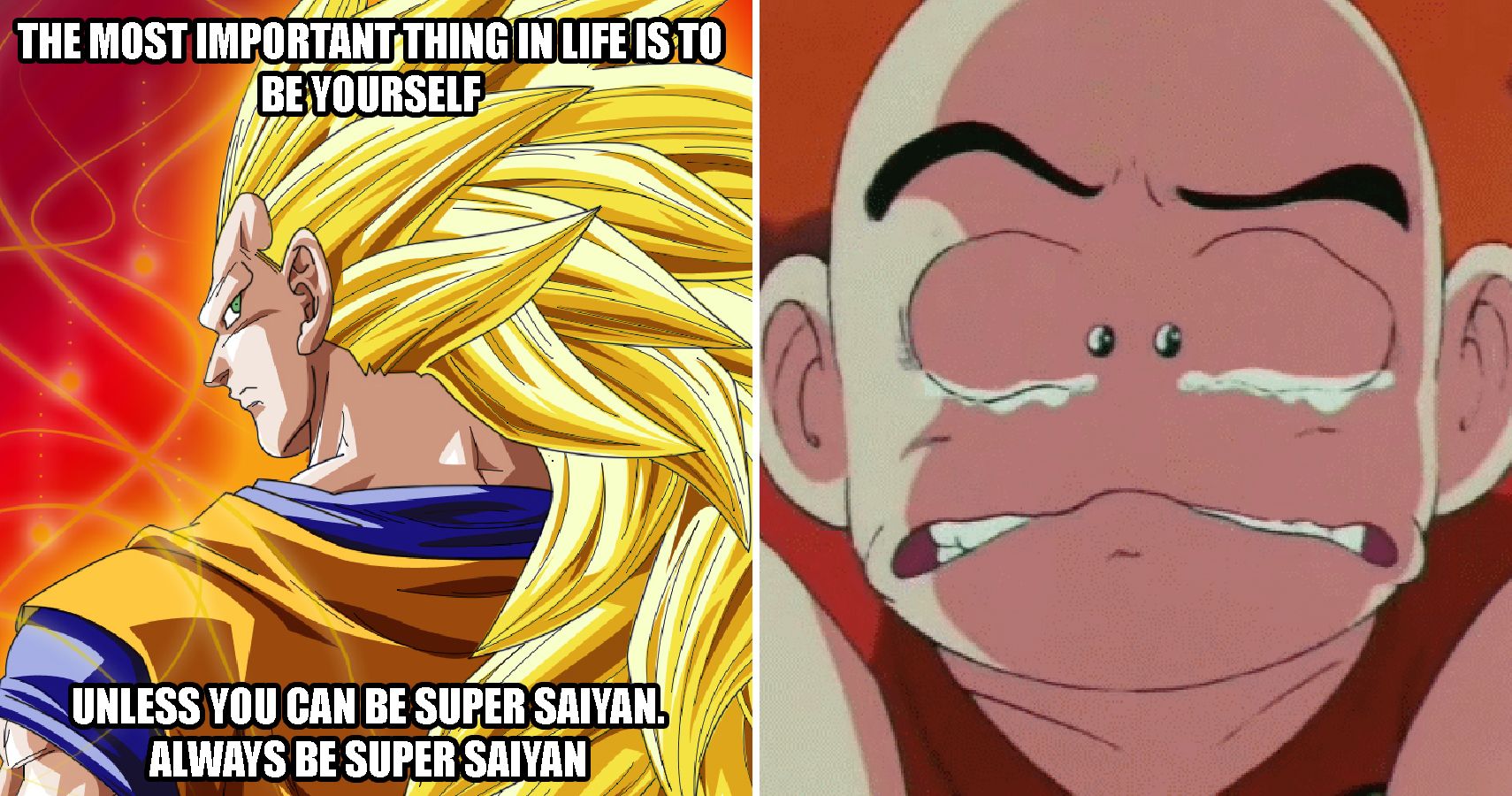 Saiyan Level Hilarious Dragon Ball Final Form Memes Only True Fans