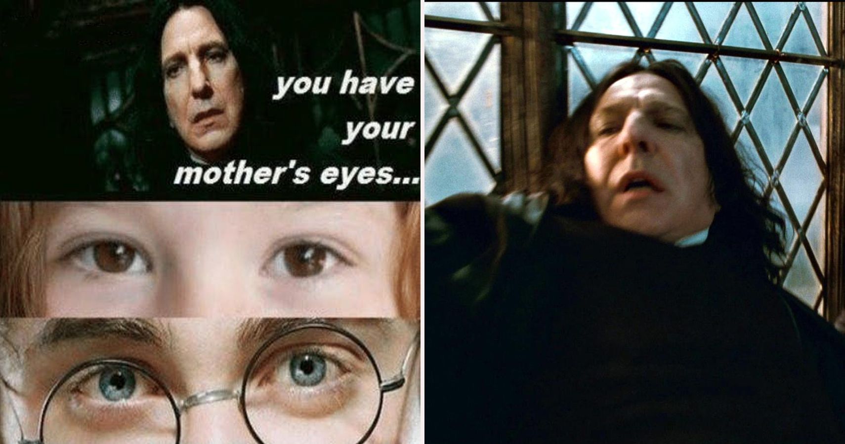 The only person voldemort is frightened of : r/HarryPotterMemes