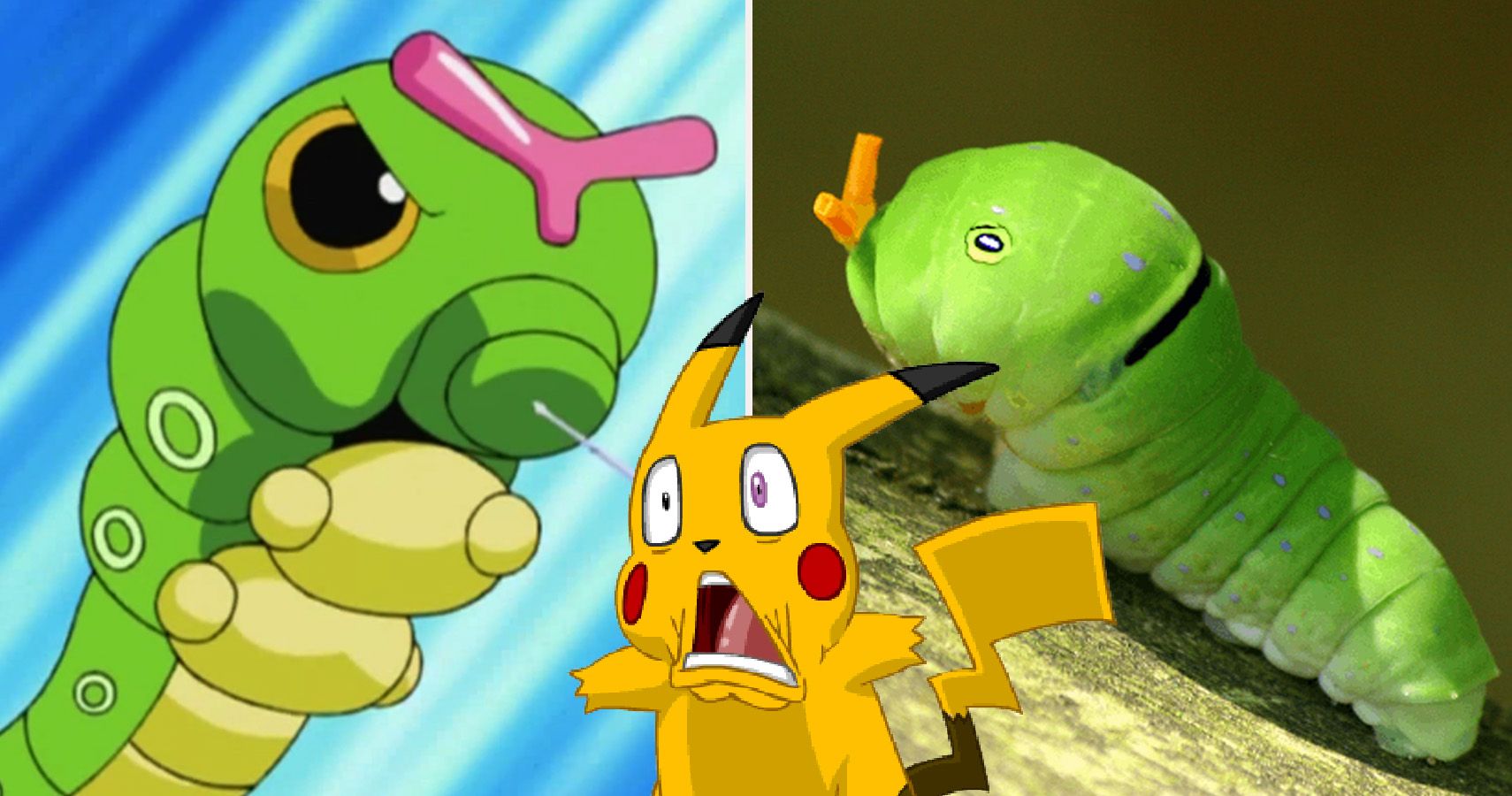 Who's That Pokémon? Pokémon You Can Catch in the Real World!
