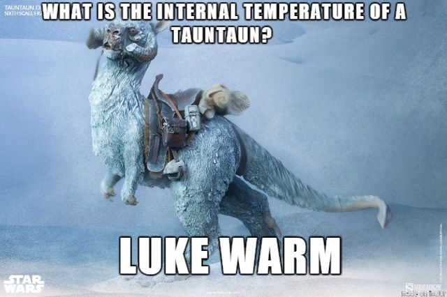 12- When It's Darn Cold On This Planet, But The Tauntauns Are Lit