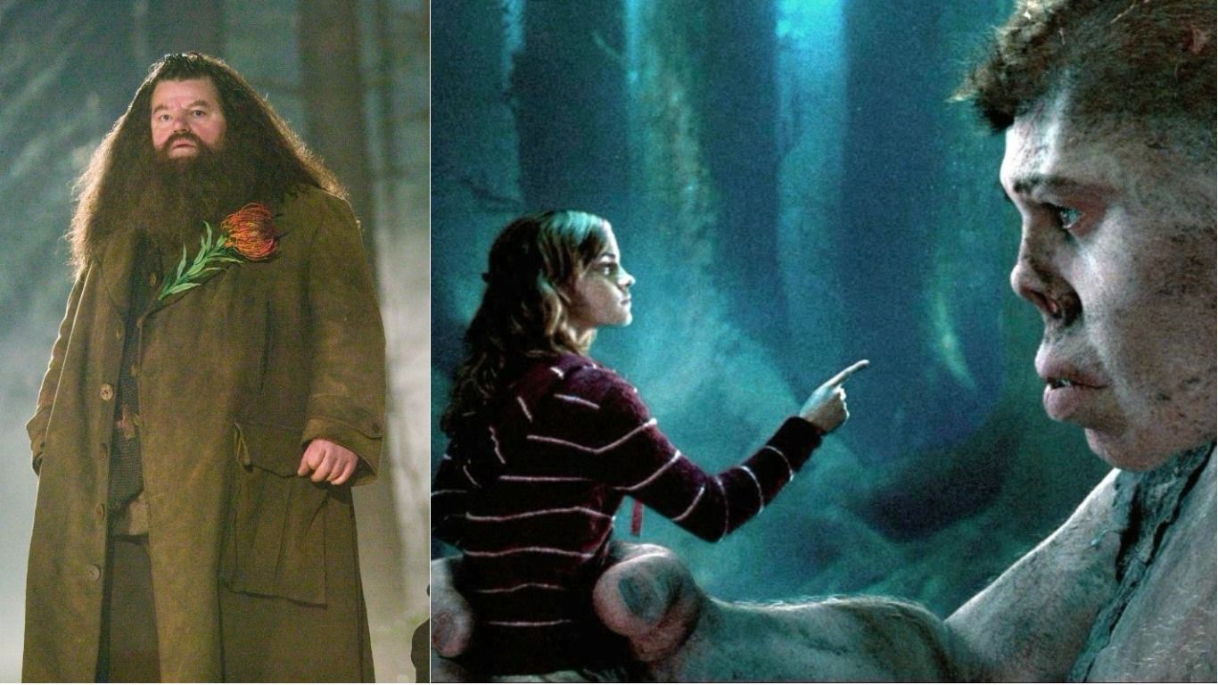 25 Unresolved Mysteries And Plot Holes Harry Potter Left Hanging