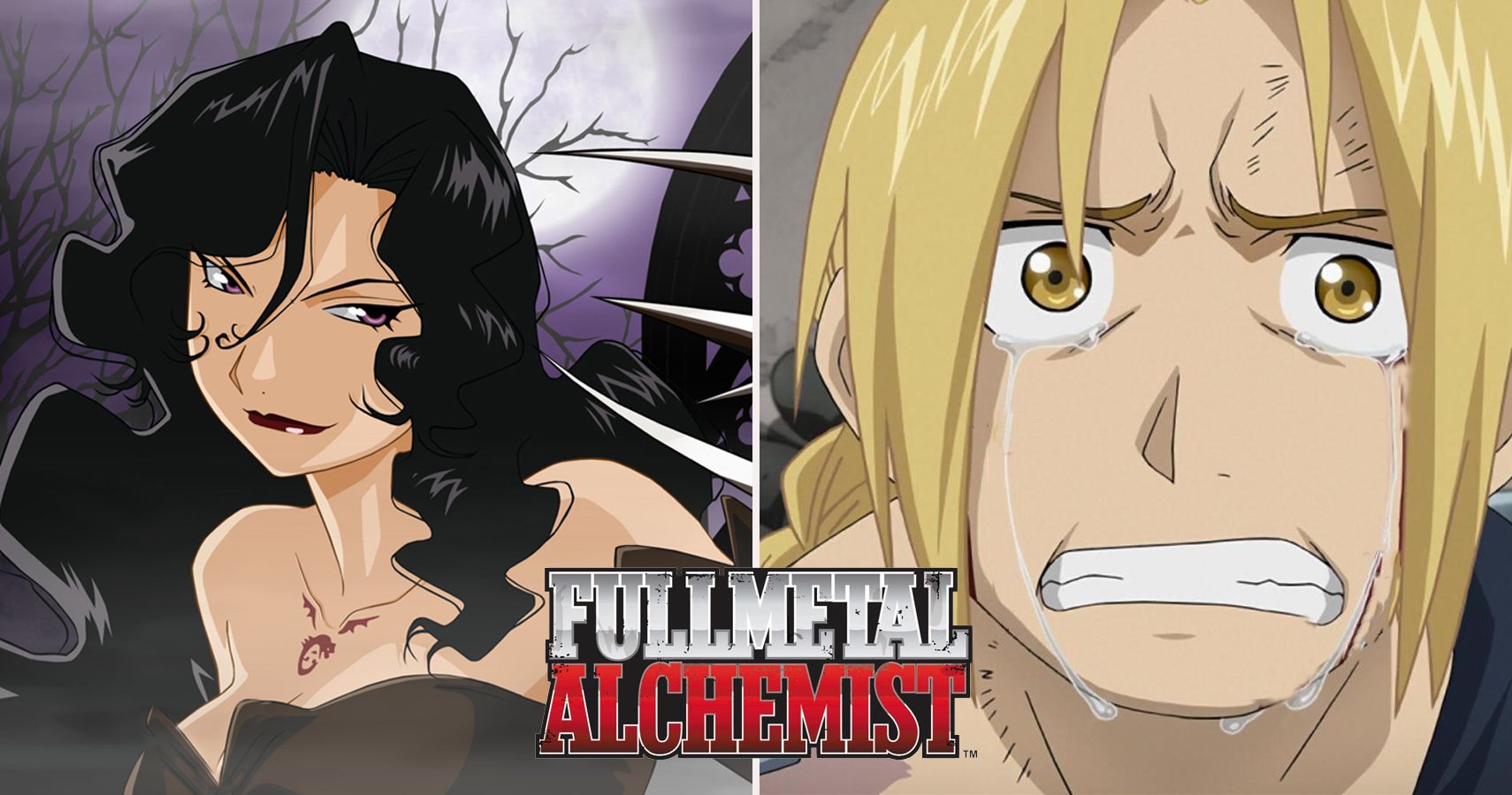 Fullmetal Alchemist 🦾 on X: FMA vs FMA Brotherhood