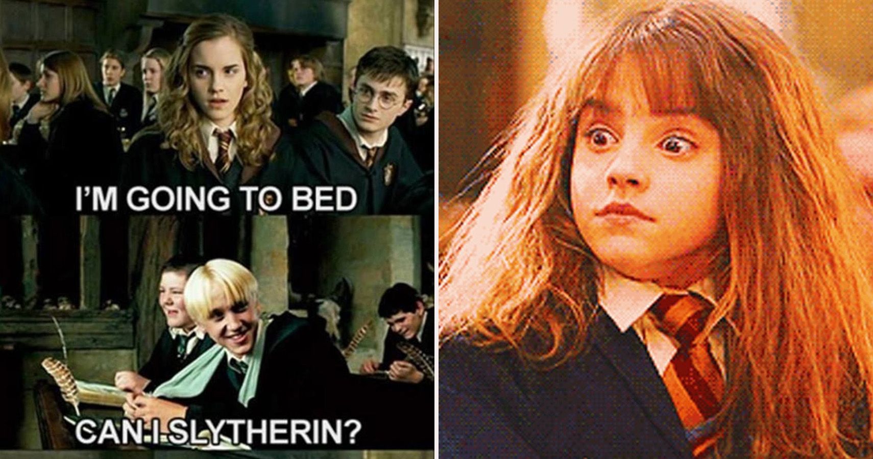 Harry Potter funny memes only true fans can understand