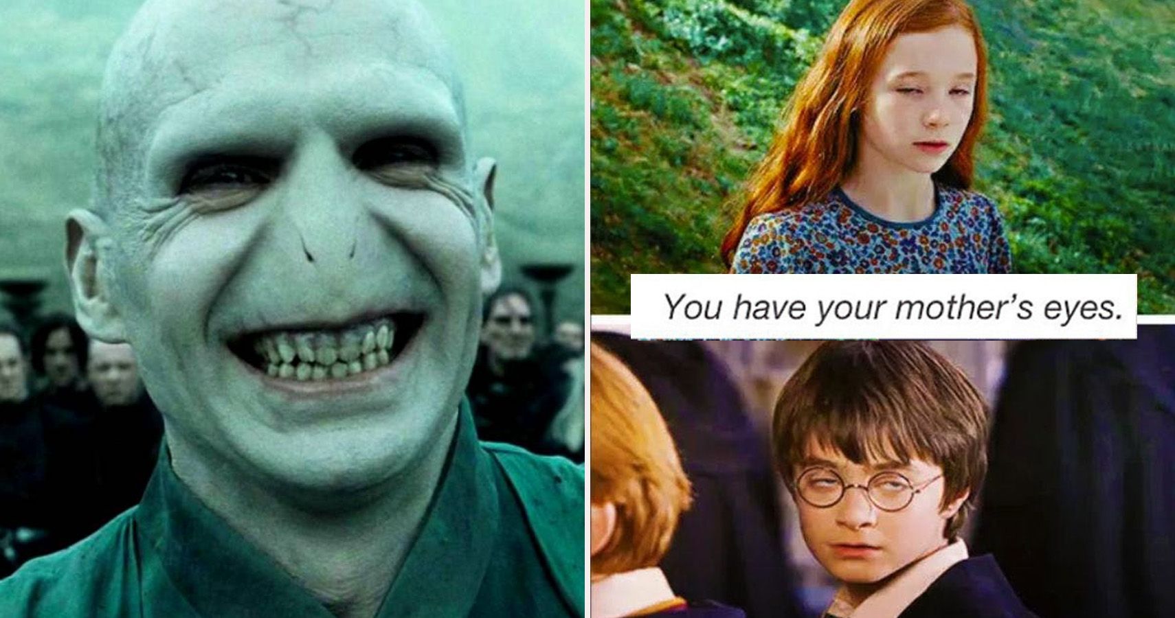 25 Twilight vs. Harry Potter Memes That Will Make Fans Choose