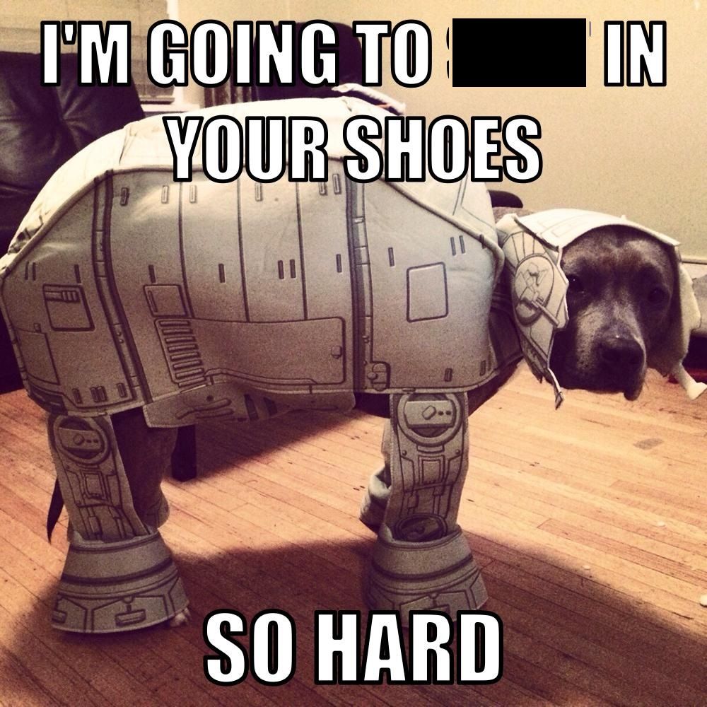 14- When Your Dog Isn't Thrilled By Its New Star Wars-Themed Outfit