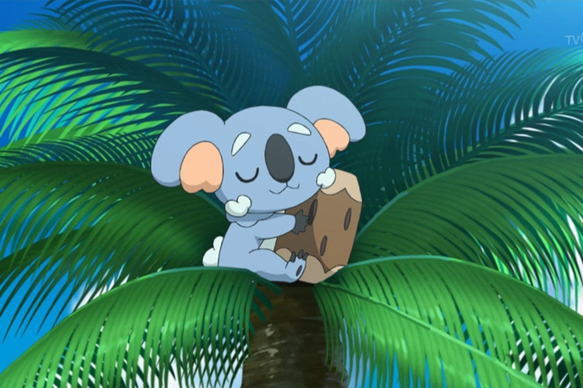 Komala sitting in a tree