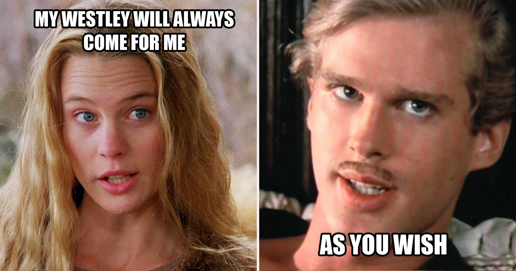 princess bride wedding meme