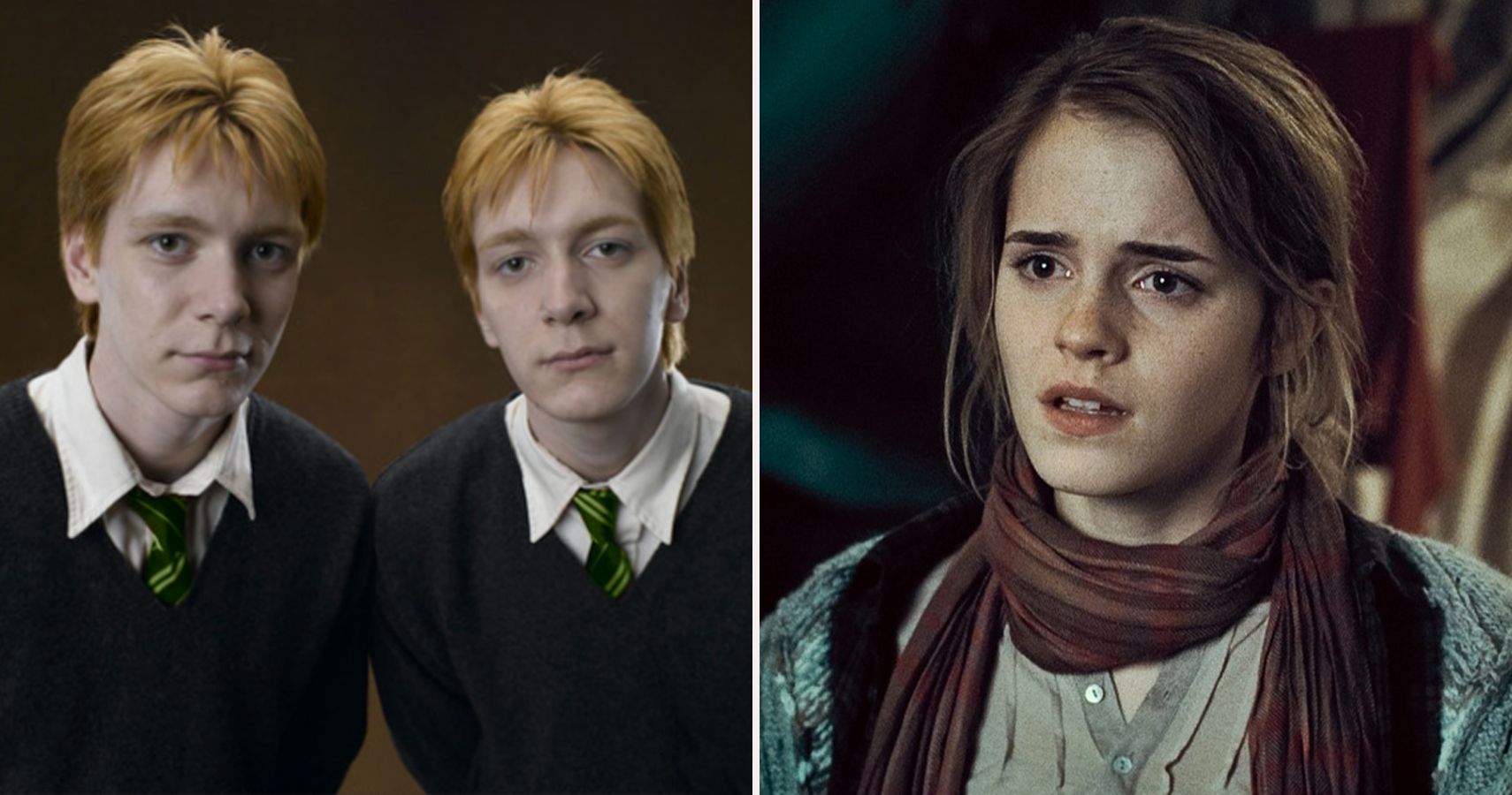 20 Harry Potter Characters Sorted Into Their True Hogwarts House 8909