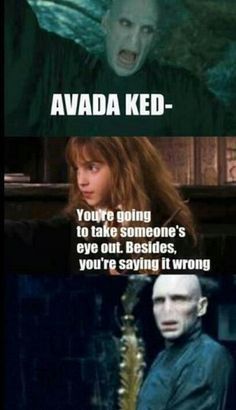 12- When Hermione Has To Teach Voldemort What's What