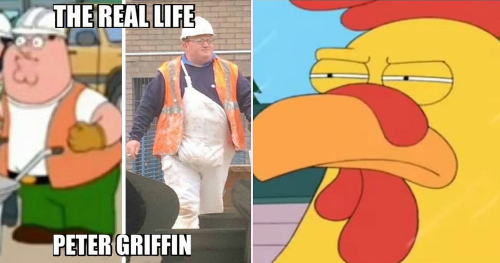 20 Hilarious Family Guy Memes That Would Make Even Stewie Laugh