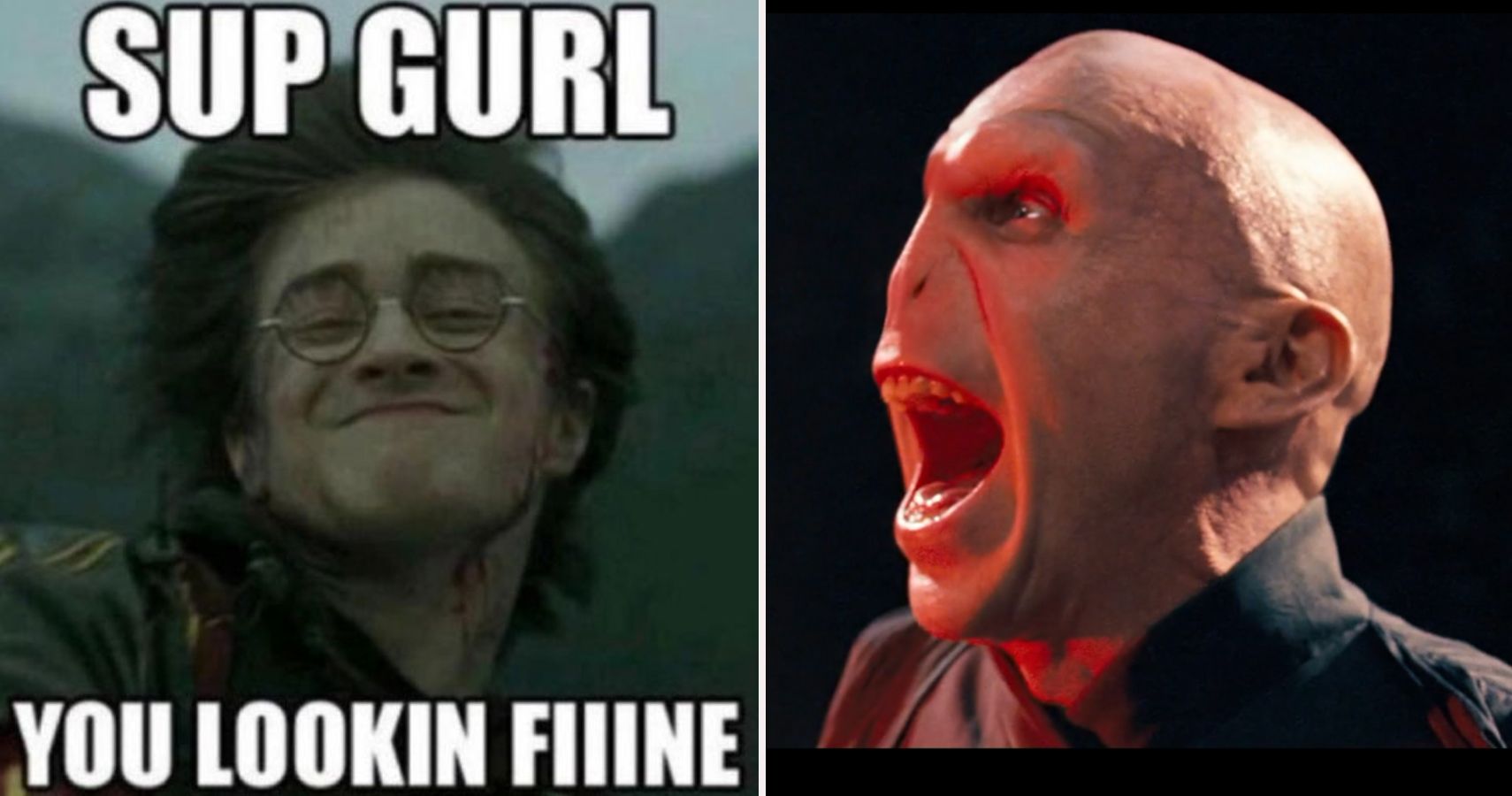 Harry Potter: 25 Memes That Show That Voldemort Makes No Sense  Harry  potter memes hilarious, Funny harry potter jokes, Harry potter memes