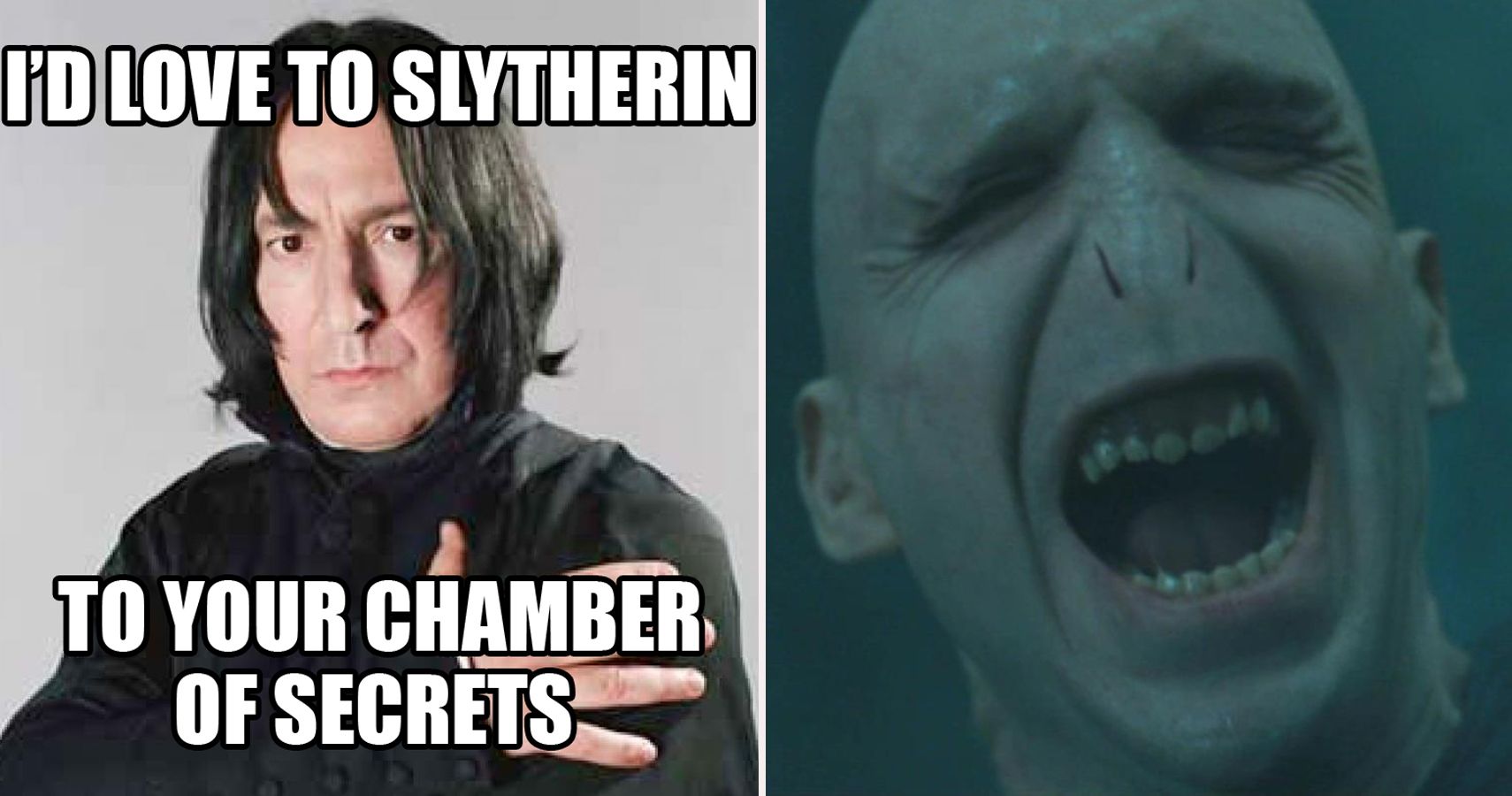 Harry Potter Memes - Draco was Right - Wattpad