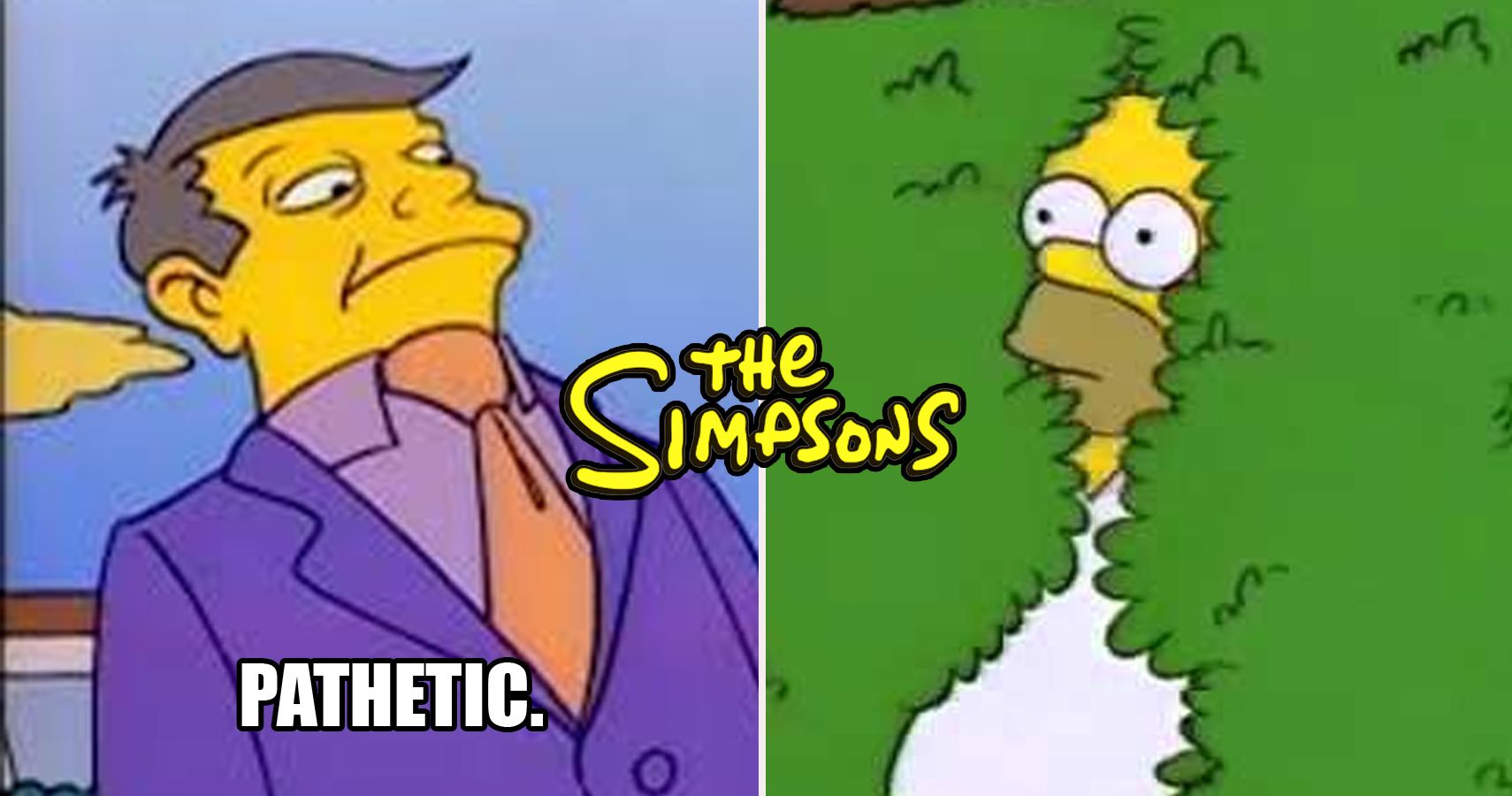 facebook fight meme simpsons