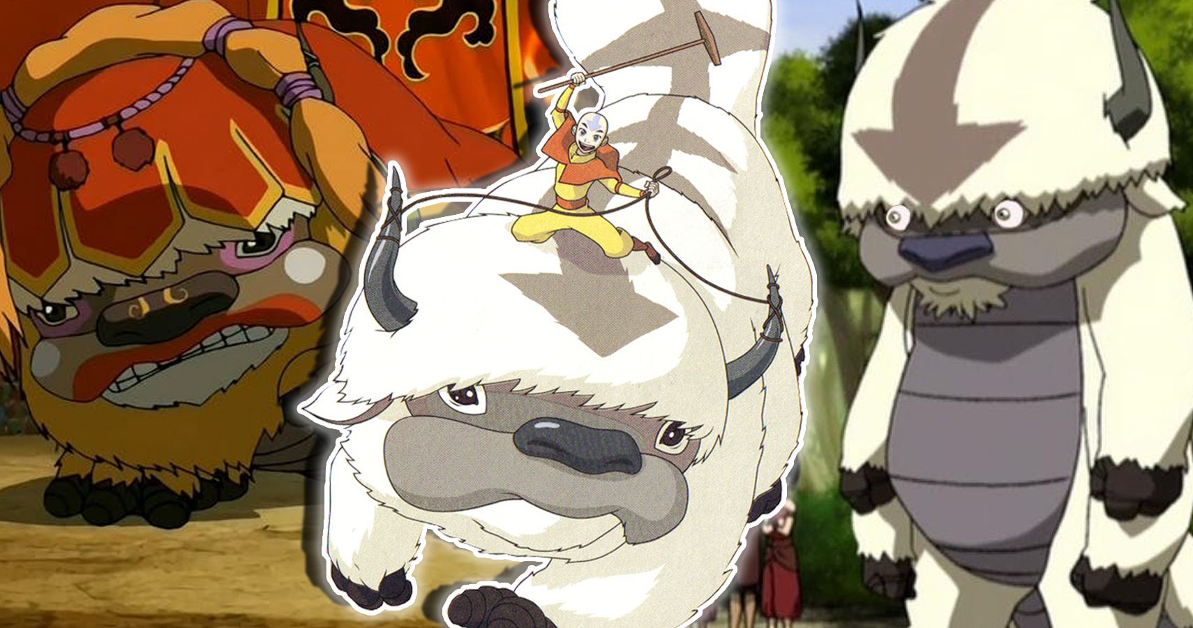 20 Things You Didn't Know About Appa From Avatar: The Last Airbender