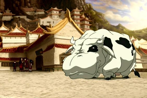 25 Things Even True Fans Completely Missed In Avatar The Last Airbender